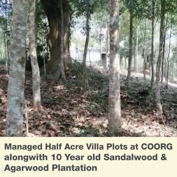 COORG GETAWAY - Managed Half Acre Plots with Plantation in COORG