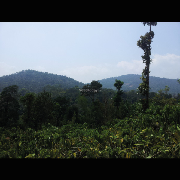 COORG HILLTOP – Managed Half Acre Villa Plots on the Hill at Coorg