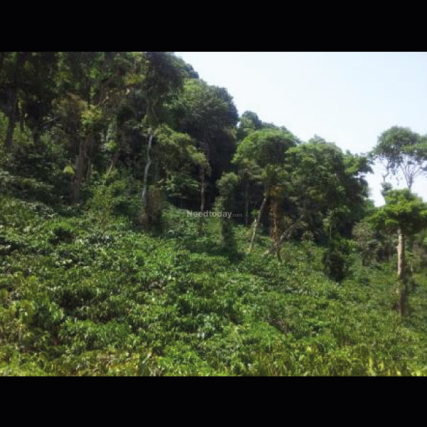 COORG HILLTOP – Managed Half Acre Villa Plots on the Hill at Coorg