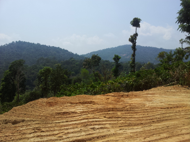 COORG HILLTOP – Managed Half Acre Villa Plots on the Hill at Coorg