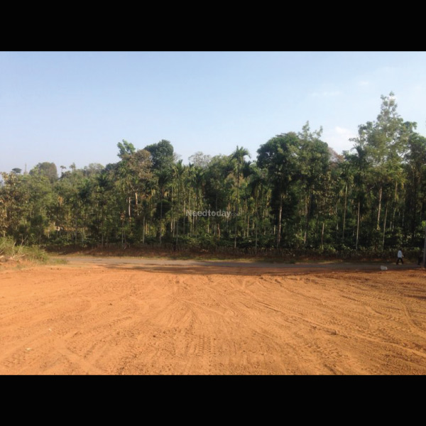 KADANGA HEIGHTS: Managed Residential Plots in Coorg