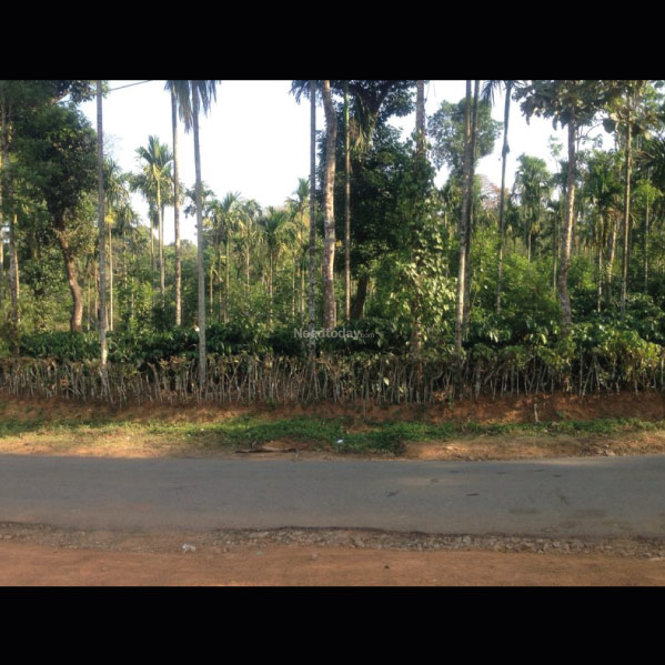 KADANGA HEIGHTS: Managed Residential Plots in Coorg