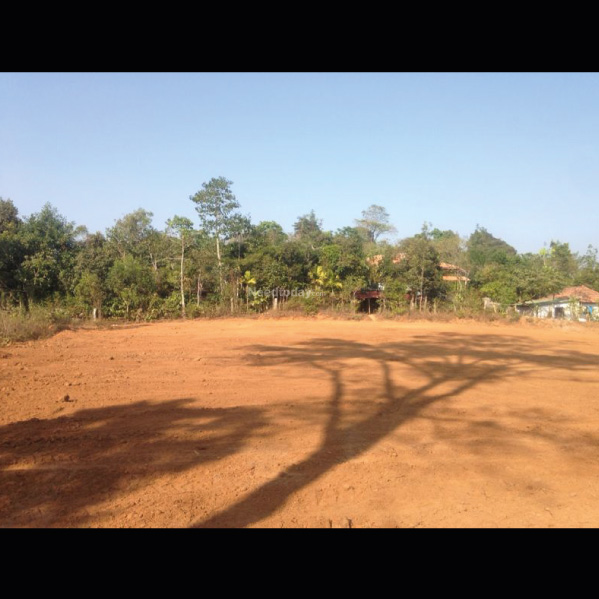 KADANGA HEIGHTS: Managed Residential Plots in Coorg