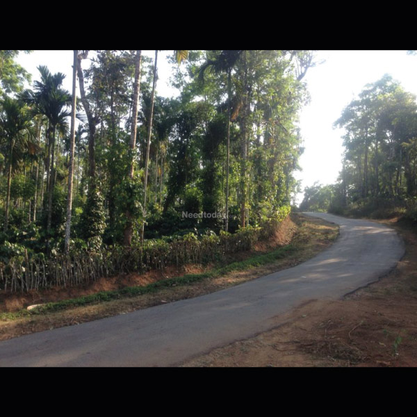 KADANGA HEIGHTS: Managed Residential Plots in Coorg