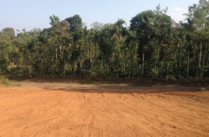 KADANGA HEIGHTS: Managed Residential Plots in Coorg